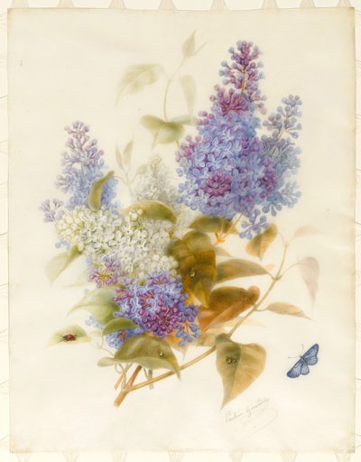 Spray of Lilac by Pauline Gerardin